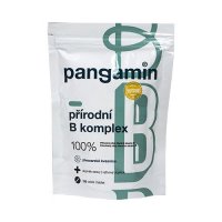 Pangamin přírodní B komplex 120 tablet
