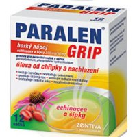 Paralen Grip Horký nápoj echinacea a šípky 12 sáčků