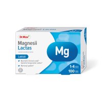 Dr.Max Magnesii Lactas 100 tablet