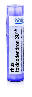 RHUS TOXICODENDRON - 3CH-30CH GRA 4G