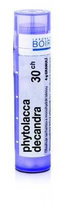 PHYTOLACCA DECANDRA - 3CH-30CH GRA 4G