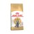 Royal Canin British shorthair granule 10 kg