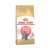 Royal Canin British shorthair kitten granule 10 kg