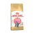 Royal Canin British shorthair kitten granule 2 kg