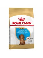 Royal Canin Jezevčík junior granule 1,5 kg