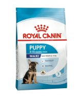 Royal Canin Maxi puppy granule 15 kg