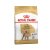 Royal Canin Pudl granule 1,5 kg