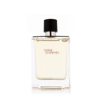 Hermès Terre D' EDT 100 ml M