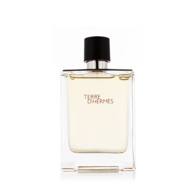 Hermès Terre D' EDT 100 ml M