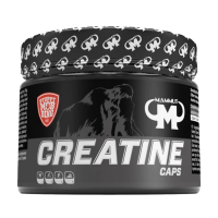 Creatin capsules - 240 kapslí