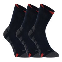 VoXX 3PACK ponožky modré (Gastl) L
