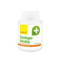 Wolfberry Ginkgo biloba 120 kapslí