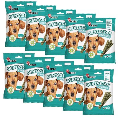 Akinu DENTASTAR Mini pamlsek pro malé a střední psy dentální 110 g 10 x 7 ks