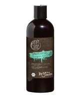 TIERRA VERDE Sprchový gel pro muže Energie máty (lahev) 500 ml