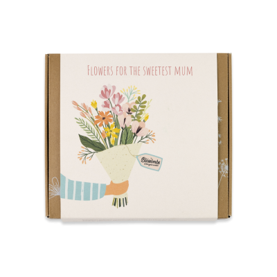 Blossombs Semínkové bomby - Dárková sada střední "Pro nejlepší maminku"- Kytice (9 ks)