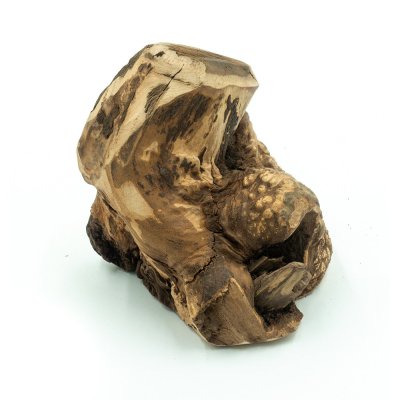 Explorer dog Žvýkací kořen vřesu pro psy L