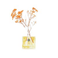 Ashleigh & Burwood London Difuzér LIFE IN BLOOM - ORANGE BLOSSOM & MANDARIN, 150 ml
