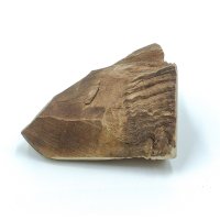 Explorer dog Žvýkací kořen vřesu pro psy S