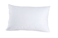 Christian Fischbacher Polštář NEUCHATEL 40 x 80 cm z husího prachového peří v bavlně středně tuhý