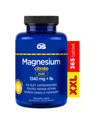 GS Magnesium citrate pure 1340 mg +B6 365 tablet