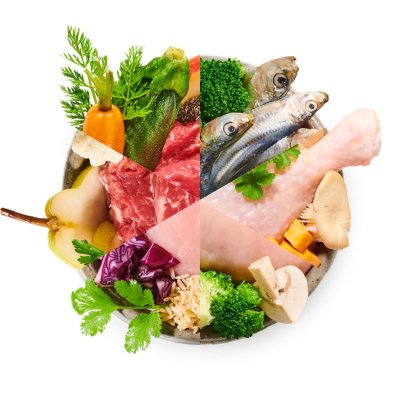 BiBi FOOD 10 denní mix - vařené psí jídlo, gramáž: 900 g