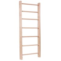 inSPORTline Žebřiny  Steadyline 195x65 cm