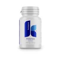 KOMPAVA Fit Artro Aktiv 600 mg/60 kps