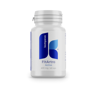 KOMPAVA Fit Artro Aktiv 600 mg/60 kps