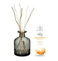 Maison Berger Paris Aroma difuzér Energy Čerstvé tonikum 180 ml šedý