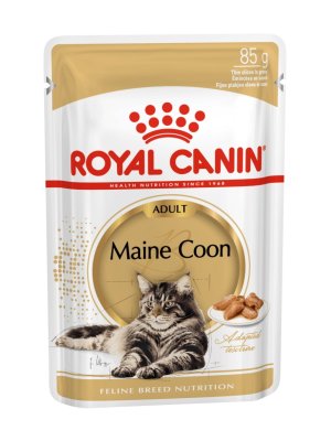 Royal Canin Maine Coon Adult kapsička 85 g