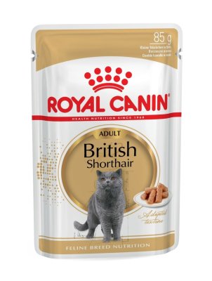 Royal Canin British Shorthair Adult kapsička 85 g