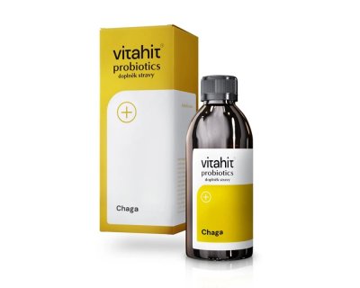 Vitahit Chaga 250 ml