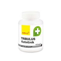Wolfberry Kotvičník zemní - tribulus terrestris 120 kapslí Wolfberry Kotvičník zemní - tribulus terrestris 120 kapslí