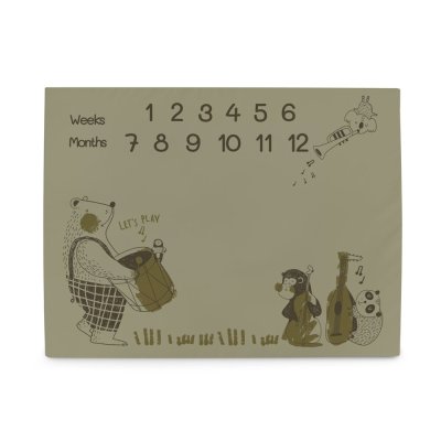 Ceba Podložka milníková na focení (92x72) Basic Band