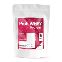 KOMPAVA Profi WHEY Protein – vánoční edice (příchuť perník, 500 g / 16 porcí)