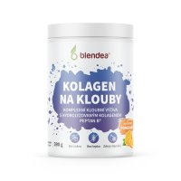 Blendea Směs Kolagen na klouby 390 g
