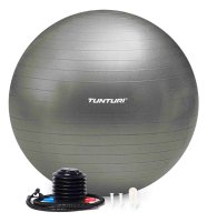 Tunturi Gymnastický míč zesílený 55 cm varianta stříbrný