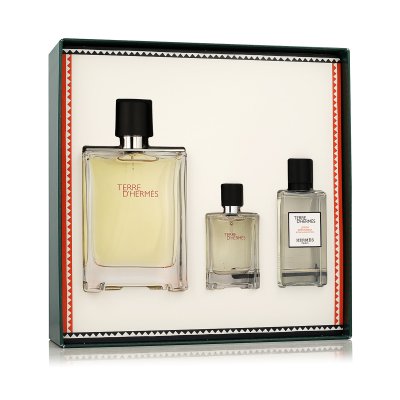 Hermès Terre D' EDT 100 ml + EDT 12,5 ml + AS 40 ml M (Fantaisie Etriers Cover)