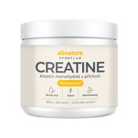 Allnature Sportlab Creatine monohydrát pomeranč 300 g