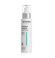 SKINSOO PurifyCell Exosome Zmatňující pleťový krém 120 ml