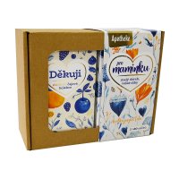 Apotheke Pro maminku dárková sada 2x20 sáčků