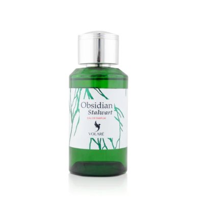 Volare Parfémovaná voda - OBSIDIAN STALWART - Objem: 100ml