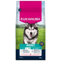 Eukanuba Krmivo Adult Large rich in salmon and barley 12kg