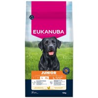 Eukanuba Krmivo Junior Large rich in fresh chicken 15kg
