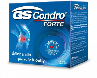 GS Condro Forte 120 tablet