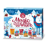 Teekanne Magic Winter dárková kolekce 6x5 sáčků