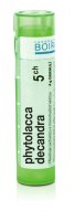 Boiron PHYTOLACCA DECANDRA CH5 granule 4 g