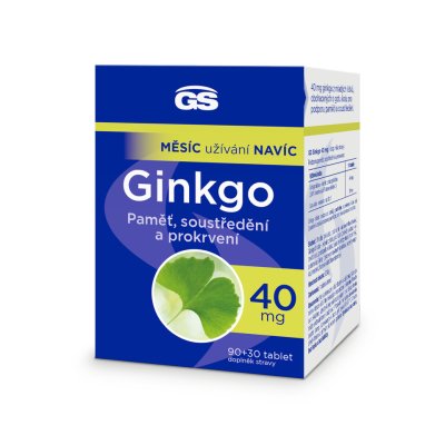 GS Ginkgo 40mg tbl.90+30