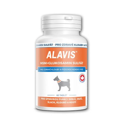 ALAVIS MSM+Glukosamin sulfát 60 tablet