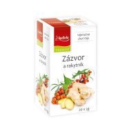 Apotheke Zázvor a rakytník - s přebalem nálevové sáčky 20x 2 g